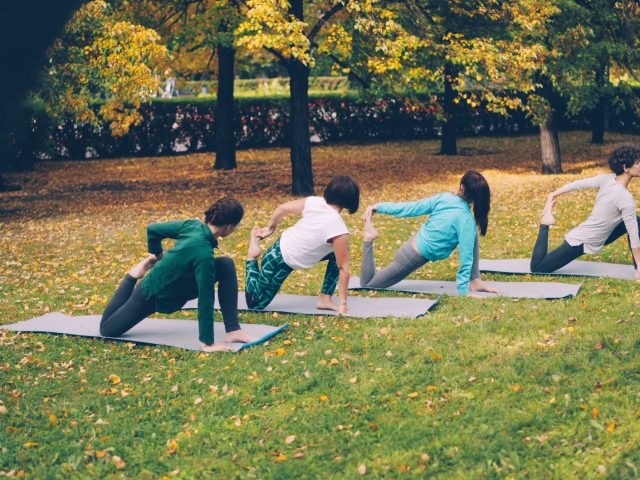Comparatif des meilleurs bancs de musculation