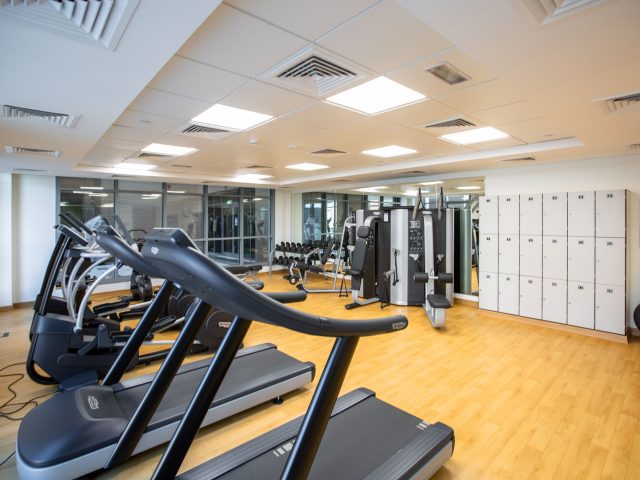 Les programmes les plus efficaces en musculation